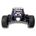 CONRAD RC model auta Buggy Reely Dune Fighter 2.0, střídavý (Brushless), 1:10, 4WD (4x4), 100% RtR, 45 km/h + Li 1616444