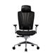 Cooler Master herní křeslo ERGO L, černá 4719512094464
