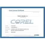 CorelDRAW Graphics Suite X6 License (11-25) LCCDGSX6MLB