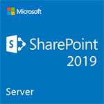 CSP SharePoint Standard 2019 Device CAL Charity DG7GMGF0F4LS