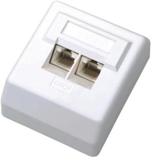 DATACOM Datová zásuvka UTP CAT6 2xRJ45 na omítku 45st. bílá 2455