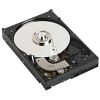 DELL server disk 500GB/ cabled/ SATA/ 7200 rpm/ 3.5"/ pro PowerEdge T130/ R230/ R330 400-AKWT