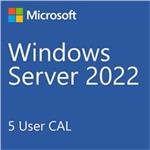 DELL Windows Server 2022 Standard,No Media, WS2019 Std Downgrade w/DVD Media,Multi Lang, Customer Kit 634-CCHM