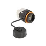 DELOCK, Cable Connector RJ45 jack to Cat.6A LSA 86698