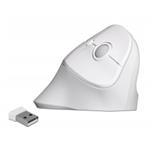Delock Ergonomická vertikální USB myš - bezdrátová 12596