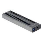 DELOCK, External SuperSpeed USB Hub with 13 Port 63738