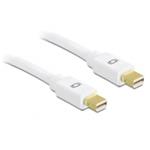 Delock Kabel Displayport mini samec > samec 2 m, bílý 82795