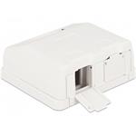 Delock Keystone Surface Mounted Box 2 Port with dust cover