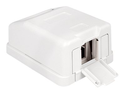 DeLOCK Keystone Surface Mounted Box - Kryt zásuvné jednotky - bílá - 1 port
