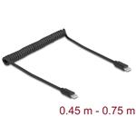 Delock Kroucený kabel USB 2.0 Type-C™ ze zástrčky na zástrčku 0,45 až 0,75 m, černý 90369
