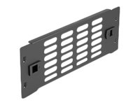 Delock - Panel do racku - with ventilation slots, tool free - černá - 2U - 10" 66986