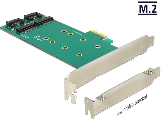 Delock PCI Express Card > 2 x internal M.2 Key B 110 mm - Low Profile Form Factor 89473