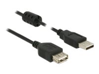 DeLOCK - Prodlužovací šňůra USB - USB (M) do USB (F) - USB 2.0 - 5 m - černá 84887