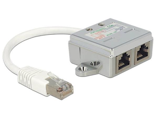 DeLOCK RJ45 Port Doubler - Rozdělovač Ethernet 100Base-TX - RJ-45 (M) do RJ-45 (4 piny) (F) - 15 cm 65177