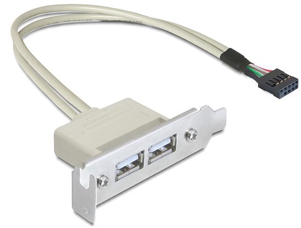 DeLOCK Slot bracket - Kabel USB - USB (F) do hlavička USB 9 pinů (F) - USB 2.0 - 50 cm 83119