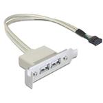 DeLOCK Slot bracket - Kabel USB - USB (F) do hlavička USB 9 pinů (F) - USB 2.0 - 50 cm 83119