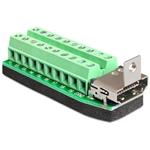 Delock Terminal Block Adapter HDMI female to 20 pin 65168