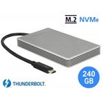 Delock Thunderbolt™ 3 Externí Portable 240 GB SSD M.2 PCIe NVMe 54000