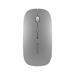 Devia myš Lingo Series 2.4G+Wireless Dual Mode Mouse - Silver 6938595379703
