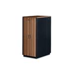 Digitus SOUNDproof Cabinet 1666x750x1130 mm, wooden surface teak metal parts black RAL 9005 DN-19 32U-SO-T