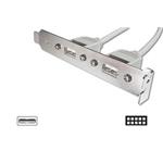 Digitus záslepka slotu s 2 USB porty + kabel 2x5pin 0,25m AK-300301-002-E