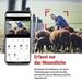 EMOS GoSmart Vonkajšia otočná kamera IP-6000 OWL s 4G/LTE, šedá H4058