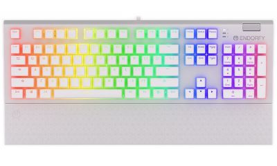 Endorfy herní klávesnice Omnis OWH Pudd.Kaihl BL RGB / USB / blue switch / drátová /mechanická/US layout/bílá RG EY5A034