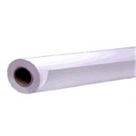 Epson 390/30.5/Premium Semigloss Photo Paper Roll, pololesklý, 15.3&quot;, C13S041743, 255 g/m2, fo