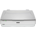 Epson Expression 13000XL B11B257401