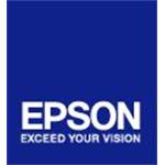 Epson originál ink C13T636900, light light black, 700ml, Epson Stylus Pro 7900, 9900