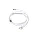 ER Intelligent Cable Extender USB-C to Dual USB-C ERPW2CE150-WH