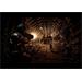ESD Aliens Vs Predator Collection 25
