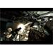 ESD Aliens Vs Predator Collection 25