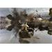 ESD Company of Heroes 692