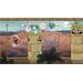 ESD Cuphead 3807