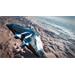 ESD Elite Dangerous Odyssey Deluxe Edition DLC