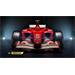 ESD F1 2017 3638