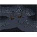 ESD Fallout 2567