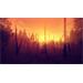 ESD Firewatch