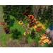 ESD Might and Magic Heroes V Tribes of the East STE-0002514