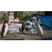 ESD Planet Zoo Aquatic Pack 7799