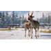 ESD Planet Zoo Eurasia Animal Pack