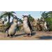 ESD Planet Zoo Oceania Pack
