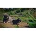 ESD Planet Zoo Zookeepers Animal Pack