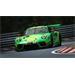 ESD RaceRoom Nürburgring Legends