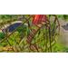 ESD RollerCoaster Tycoon World 5640
