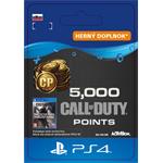 ESD SK PS4 - 5,000 Call of Duty®: Modern Warfare® Points