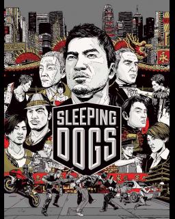 ESD Sleeping Dogs 216