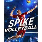 ESD Spike Volleyball 5477