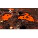 ESD Starship Troopers Terran Command Raising Hell